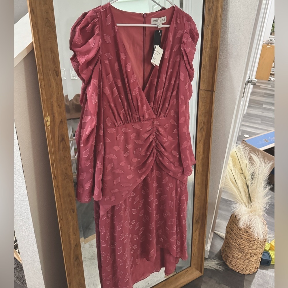 BNWT Rachel Zoe Pink Vicente Embroidered Midi Dress - Picture 5 of 5